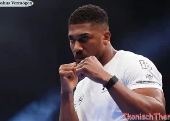 Anthony Joshua Vermögen