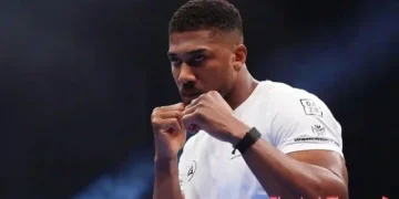 Anthony Joshua Vermögen